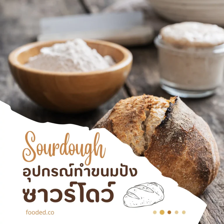 อุปกรณ์ทำขนมปังซาวร์โดว์ (Sourdough)